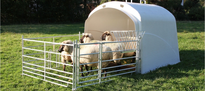 Cattle, pig or sheep farms can find waterers, feeders, robots, incinerators, electric fences, ear tags and many other top products at Flextim.